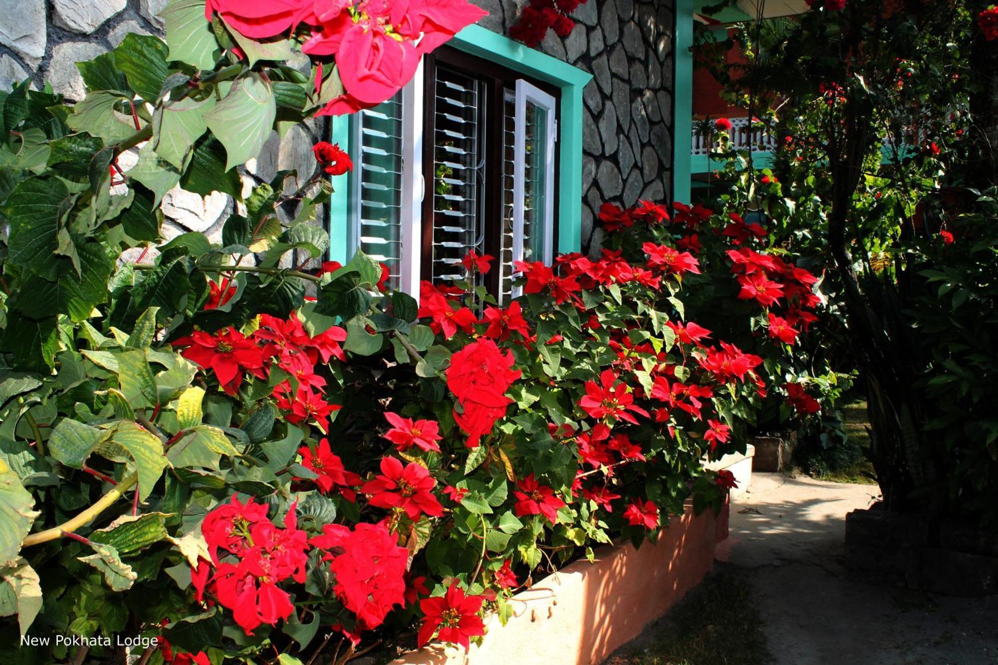 New Pokhara Lodge - Pokhara Lakeside Exterior photo