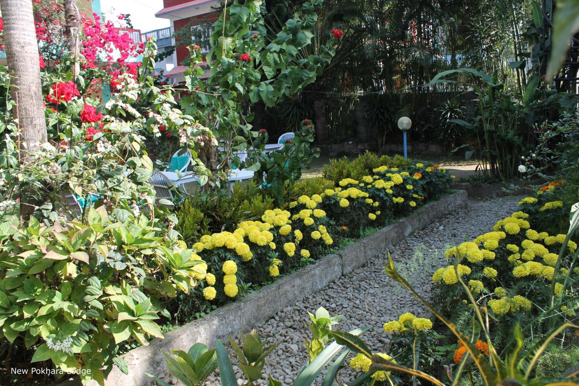 New Pokhara Lodge - Pokhara Lakeside Exterior photo